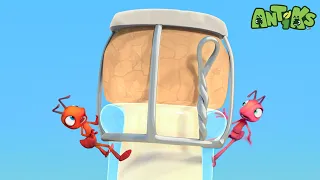 Bottle Rocketeers | ANTIKS | Moonbug Kids - Funny Cartoons and Animation