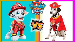 Paw Patrol Characters In Real Life 2022 👉@olzishow