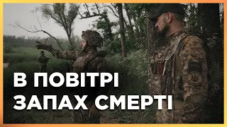 "Тут пахне СМЕРТЮ": На деокупованій Херсонщині шукають загиблих українських захисників