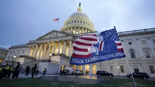 Trump war während Kapitol-Erstürmung absichtlich untätig