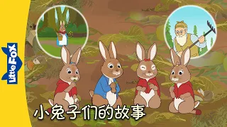 彼得兔和朋友们 - 小兔子们的故事 (Peter Rabbit - The Tale of the Bunnies) | 中文字幕 | Classics | Chinese Stories
