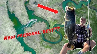 Catching GIANT Fish Out Of The COLORADO RIVER!!! Hunt For My Personal Best EP. 3