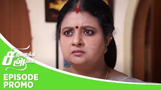 Siragadikka Aasai | Episode Promo 2 | 29th  May 2024