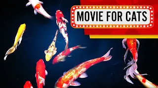 MOVIE FOR CATS - Mesmerizing Koi Carps! (Video for cats to watch) 3 Hours 4K