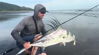 How To: Rooster Fish from the Beach