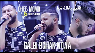 Cheb Momo Ft Zinou Pachichi - [ Galbi Bghak Ntiya - قلبي بغاك نتيا ] - Live 2019