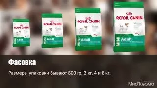 Обзор корма Royal Canin Mini Adult