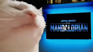 Watching The Mandalorian Credits Be Like...