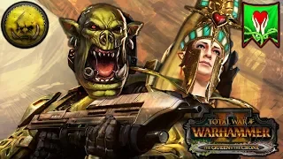 GRIMGOR'S WARTHOG RUN - Greenskins vs. Avelorn - Total War Warhammer 2