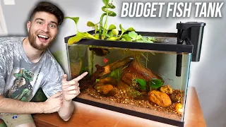 How To Build A FISH TANK on a BUDGET! Natural Aquarium Set Up Tutorial! For Cheap!