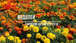 Водолей гороскоп на август 2019