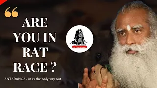 Are You in A Rat Race? | Sadhguru ANTARANGA