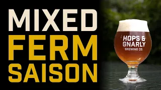 Blended Mixed Fermentation Saison