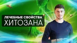 Что такое ХИТОЗАН? И его лечебные свойства