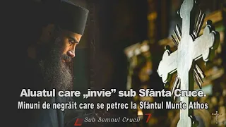 Aluatul care „învie” sub Sfânta Cruce - Minuni de negrait care se petrec la Sfantul Munte Athos