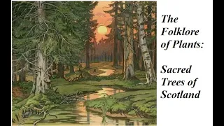 The Folklore of Plants: Sacred Trees of Scotland