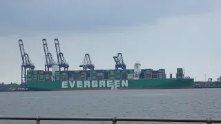 Delayed departure of the Ever Atop as sea fog begins to roll in  3 Svitzer tugs assist  7th May 2024