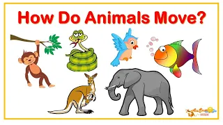 How Do Animals Move? | Learning Video For Kids | AuSum Sisters