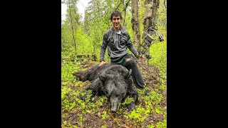 BOW KILL ON GIANT BLACK BEAR+INSANE BEAR FIGHT!!