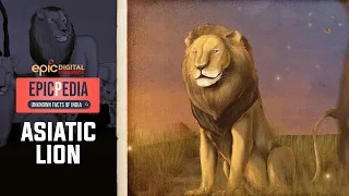 ASIATIC LION - King of India | EPICPEDIA - Unknown Facts of India | Ep 7 | Epic TV