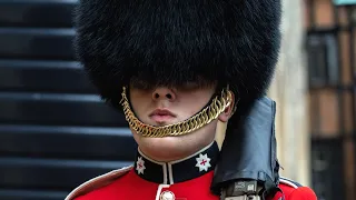 The Real Reason British Guards Wear Bearskins