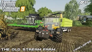 Harvest,baling & selling grain | Animals on The Old Stream Farm | Farming Simulator 19 | Episode 11