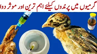 Important Medicine For Birds in Summer 2022 | Poultry Farming in Summer Season | Dr. ARSHAD