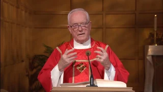 Daily TV Mass Saturday, November 12, 2016