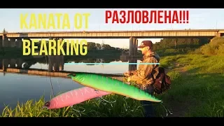 KANATA 160F и MO-DO CUSTOM от BEARKING разловлены! Река Западная Двина