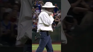 Bee expert saved DBacks-Dodgers game, threw out first pitch