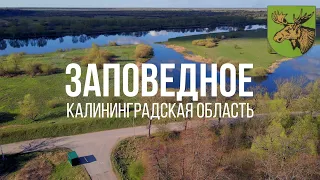 4K. Заповедное. Славский район. Калининградская область