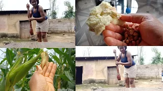 ENJOYING REAL ORGANIC NIGERIAN FOODS | Village life |NIGERIA VLOG 2021