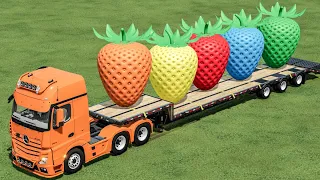 TRANSPORT OF COLORS ! GIANT STRAWBERYS ON LOW LOADER with MINI LOADERS ! Farming Simulator 22