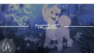 Running With The Wolves | Birthday Animash MEP