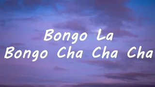 Bongo Cha Cha Cha (Lyrics) - Caterina Valente - Bongo La Bongo Cha Cha Cha  [Tiktok Song]