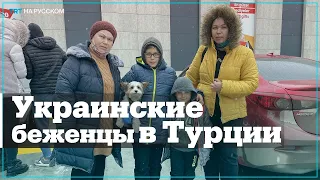 Эдирне принимает беженцев из Украины