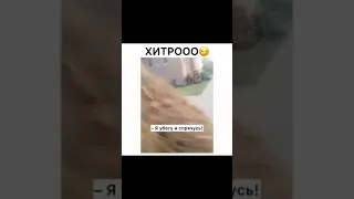 ПРИКОЛ .Хитроо🤣.Очень смешные видео.приколы тик ток.приколы 2021