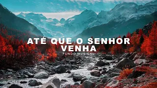 Fundo Musical Para Oração / Pregação (Instrumental Worship) ATÉ QUE O SENHOR VENHA