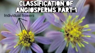 TAXONOMY:Classification of Angiosperms PART-1