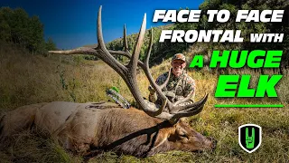 FACE TO FACE FRONTAL on HUGE 6x6 BULL ELK