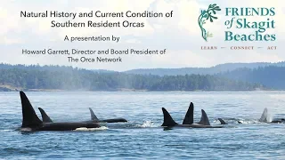 Natural history & current conditions of Southern Resident Orcas