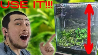 Why Tall Aquariums Are Better