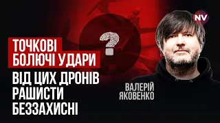 Це масштабні спецоперації. Закидувати болота сотнями дронів - це не про нас | Валерій Яковенко