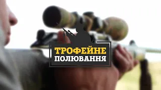 ⚡ Регулювання чисельності шакала та лиса в південному регіоні ▶ Трофейне Полювання №87 2ч. ▶ Трофей