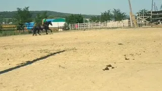 Horseback Archery Moldova, team MHAA, Ассоциация конных лучников Молдовы