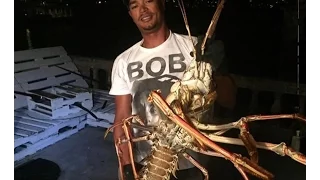 Giant Lobster caught off the coast of Bermuda Triangle || Caught On Camera