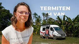 We have TERMITES IN THE VAN | Overlanding Costa Rica | #132