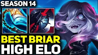 RANK 1 BEST BRIAR DOMINATING HIGH ELO IN SEASON 14! | League of Legends