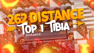 HE HAS THE BIGGEST DISTANCE IN THE GAME! 262 SKILL! TOP 1 TIBIA GLOBAL!! | TibiaFerumbrinha