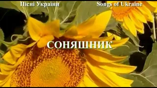 Соняшник. Пісні України.Співає А.Мокренко. Sunflower.Songs of Ukraine.Vita_St